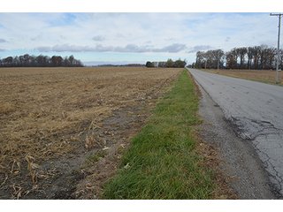 Property photo 2 - LAND AUCTION - 276.5+/- ACRES OFFERED IN 5 TRACTS IN EAST ALLEN COUNTY